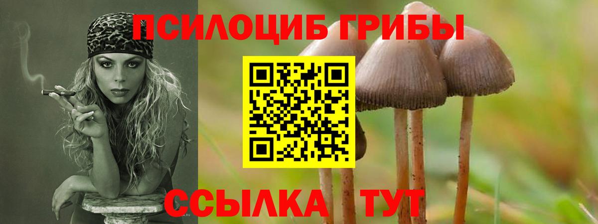 Псилоцибиновые грибы Cubensis  Вход с VPN  Псилоцибиновые грибы мицелий  Заволжье 